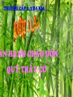 Phỏng vấn - Văn học