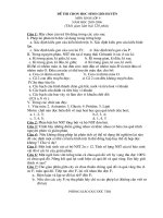 Đề thi HSG huyện sinh 9 05-06