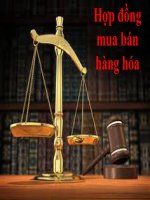 hợp đồng mua bán hàng hóax 