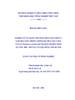 Nghiên cứu sử dụng chế phẩm metavina 10DP và sakumec 0 5 EC phòng chống bọ nhảy sọc cong vỏ lạc phyllotreta striolata fabr hại rau hoa thập tự năm 2009   2010 tại vân nội, đông anh, hà nội 