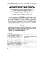 NGHIÊN CứU Sự ổN ĐịNH MùI THƠM, NĂNG SUấT Và CHấT LƯợNG GIốNG LúA HƯƠNG CốM QUA CáC THế Hệ CHọN LọC SIÊU NGUYÊN CHủNG