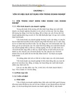 Báo cáo thực tập chuyên đề vốn và hiệu quả sử dụng vốn tại công ty Thăng Long