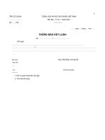 Mau thong bao ket luan