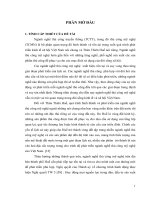 Giải pháp phát triển ngành nghề thủ công mỹ nghệ trên địa bàn thành phố huế 