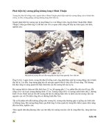 PHÁT HIỆN XƯƠNG KHỦNG LONG Ở VIỆT NAM