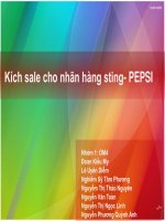 Kích sale cho nhãn hàng sting  PEPSI 