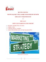 TIEU LUAN MARKETING CAN BAN NHOM VNNL MLHP 110700501x