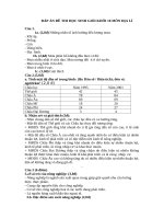 Dap an HSG 10- Lan 2