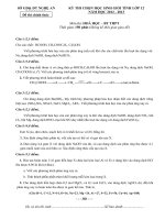 ĐỀ THI CHỌN HỌC SINH GIỎI TỈNH LỚP 12 NĂM HỌC 2012 – 2013 MÔN HÓA HỌC LỚP 12 BỔ TÚC THPT - SỞ GD&ĐT NGHỆ AN