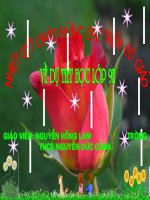 Tiết 146 Rô-bin-xơn ngoài đảo hoang