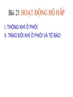 Bài 21: Hoạt động hô hấp