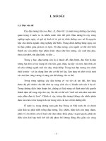 Nghiên cứu một số biện pháp kỹ thuật góp phần tăng năng suất đậu tương trong điều kiện vụ hè trên đất bạc màu việt yên bắc giang 