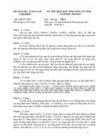 KỲ THI CHỌN HỌC SINH GIỎI CẤP TỈNH          LÂM ĐỒNG        NĂM HỌC 2010-2011 Môn : Hoá học – THCS