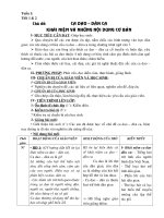 GIÁO ÁN TỰ CHỌN NGỮ VĂN 7 SOẠN CHO NĂM HỌC 2009-2010