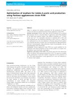 BT 3   optimization of medium for indole 3 acetic acid production using pantoea agglomerans strain PVM 