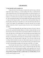 Hoàn thiện tổ chức kế toán tập hợp chi phí và tính giá thành sản phẩm tại công ty cổ phần nhựa và cơ khí hải phòng 