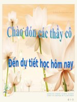 Bai 24 : Nhan dan Viet Nam khang chien chong Phap xam luoc (1858-1873