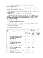 De cuong chi tiet mon hoc TIN HOC UNG DUNG