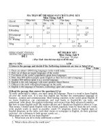 Đề thi hết học kỳ Anh 9