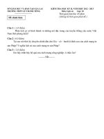 ĐỀ KIỂM TRA HỌC KÌ II NĂM HỌC 2012-2013 TRƯỜNG THPT LÊ THÁNH TÔNG MÔN LỊCH SỬ LỚP 10 