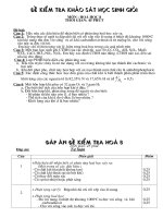 de kiem tra HSG hoa 8- cap truong