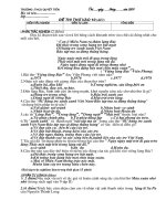 Đề thi thử vào 10 (Ngữ văn 9)