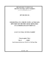 [Luận văn]ảnh hưởng của thuốc nước actiso 10% đến một số chỉ tiêu dược động học của enrofloxactin trên gà 