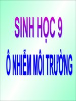 Ô nhiễm môi trường