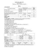 Kiểm tra HK I - Địa lý 8