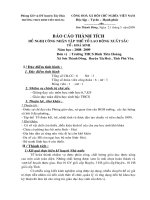 Thành tích tổ LDXS