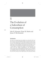 diễn biến của văn hóa tiêu dùng schouten, martin & mcalexander 2007 