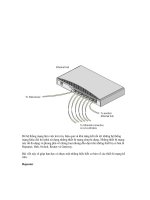 Để hệ thống mạng làm việc trơn tru 