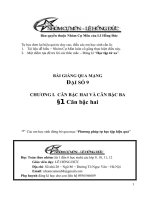 Bài giảng: Căn bâch hai   (Đại số 9)