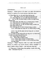 Mở rộng cho vay đối với khách hàng cá nhân tại NHNo&PTNT – chi nhánh chợ mơ 