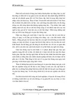 Báo cáo tông hợp về công ty TNHH Đông Đô