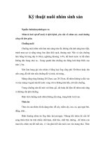 Kỹ thuật nuôi nhím sinh sản 