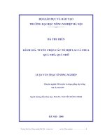 Đánh giá, tuyển chọn các tổ hợp lai cà chua quả nhỏ, quả nhỡ 