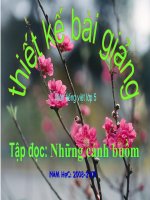 Những cánh buồm