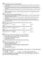 Đề cương tin học