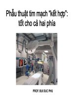 Phẫu thuật tim mạch “kết hợp”