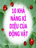 10 khả năng kỳ diệu của động vật