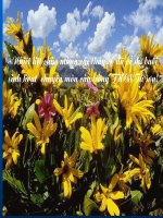 Bai 1. The gioi DV Da dang va phong phu.