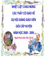 Sư tử xuất quân