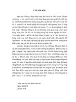 Hoàn thiện kế toán nguyên vật liệu tại Công ty TNHH Tam Phúc.