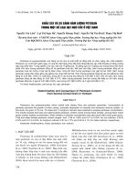 KHẢO SÁT VÀ SO SÁNH HÀM LƯỢNG PETOSAN TRONG MỘT SỐ LOẠI HẠT NGŨ CỐC Ở VIỆT NAM