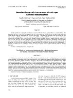 ẢNH HƯỞNG CỦA 1-MCP XỬ LÝ SAU THU HOẠCH ĐẾN CHẤT LƯỢNG VÀ TỔN THẤT TRONG BẢO QUẢN BƠ