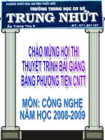 Bài 12: Trang trí nhà ở bằng cây cảnh và hoa