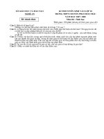 Đề thi vào trường chuyên PBC