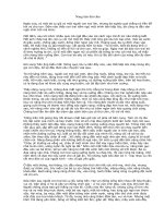 Nàng tiên thứ chín