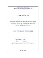 Khảo sát một số chỉ tiêu vacxin cúm AH5N1 được sản xuất thử nghiệm tại xí nghiệp thuốc thú y trung ương 